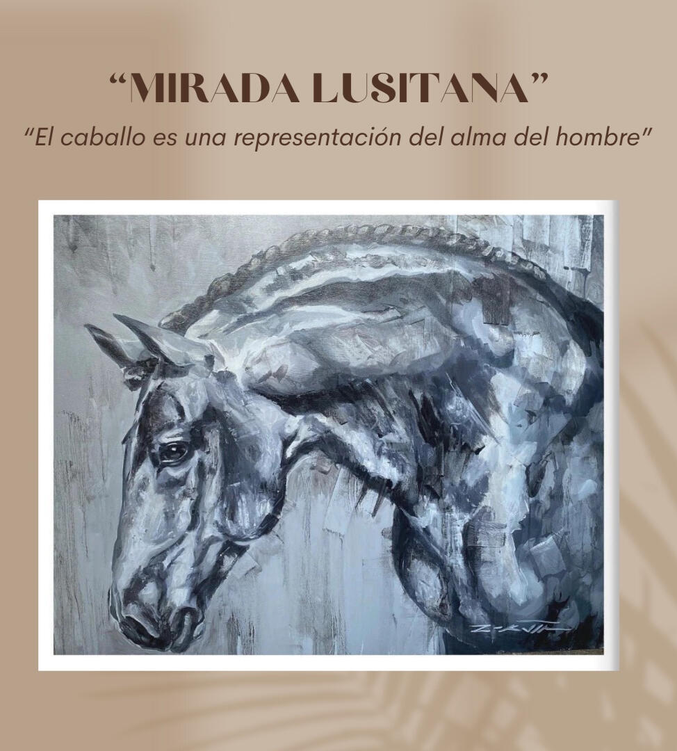 Mirada Lusitana